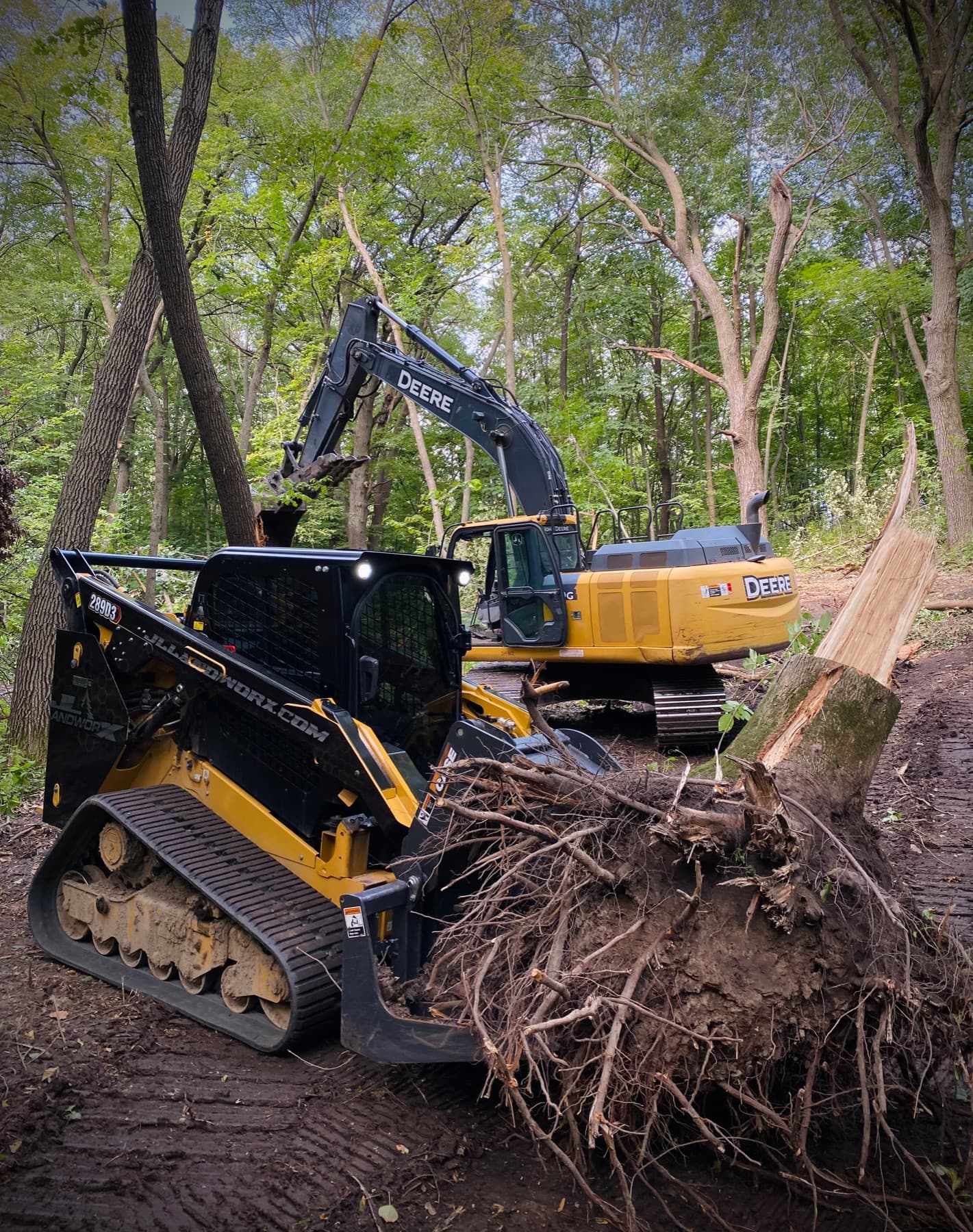 Track loader moving an uprooted stump on a wooded clearing site